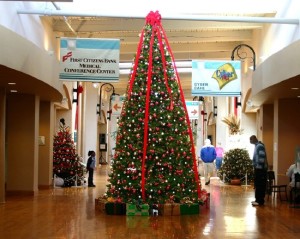 christmas trees on clearance lJCK